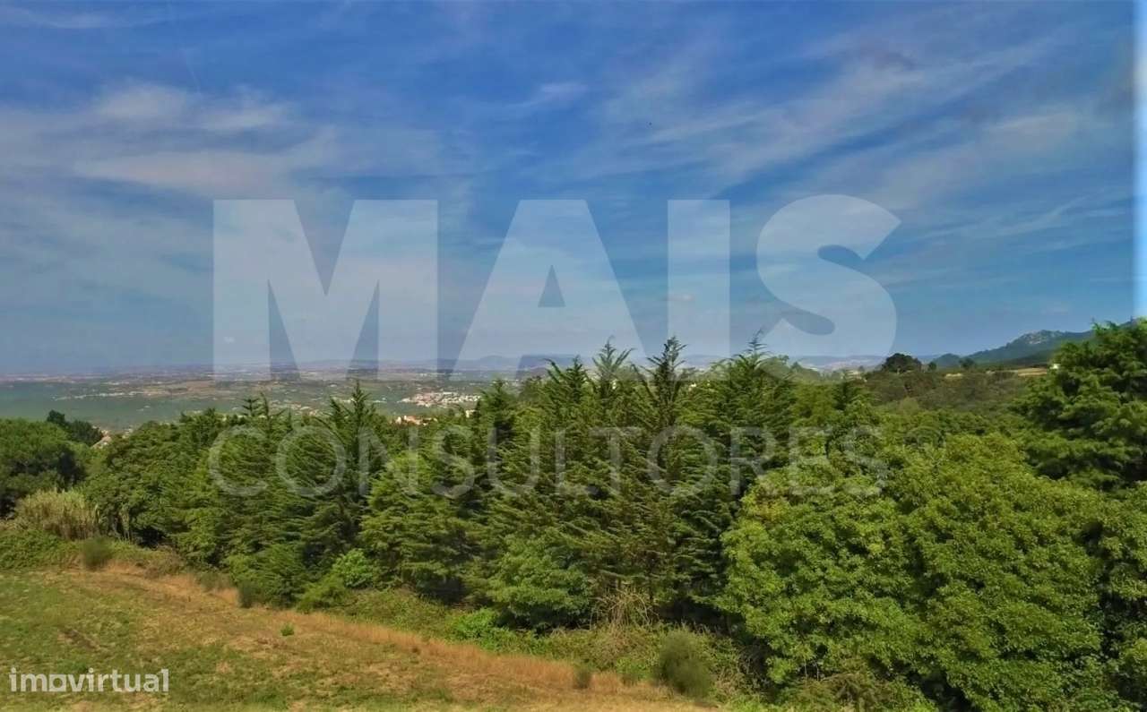 Terreno para Construção  Quinta da Tapada em Colares, Sintra - Grande imagem: 2/5
