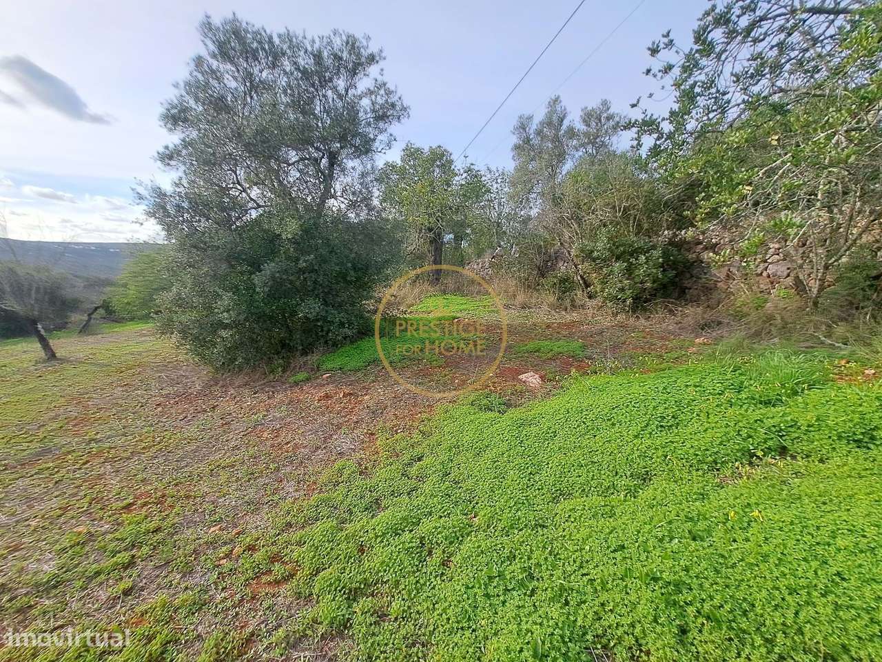 TERRENO COM PROJETO ARQUITETURA APROVADO PARA MORADIA T3 - CORCITOS-14