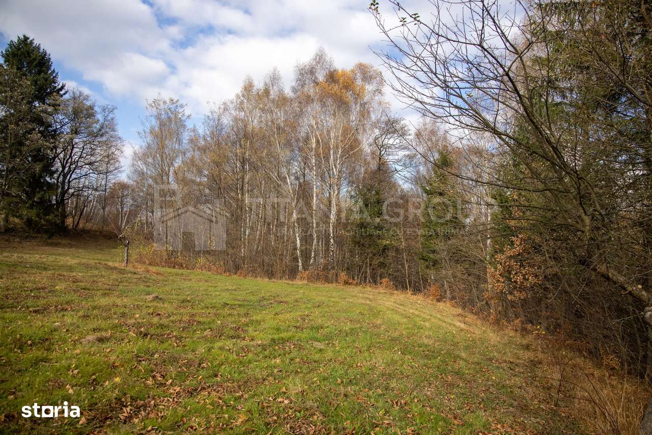 Teren intravilan, cu PUZ, Bran Tohanita,  SE ACCEPTĂ ȘI SCHIMB-19