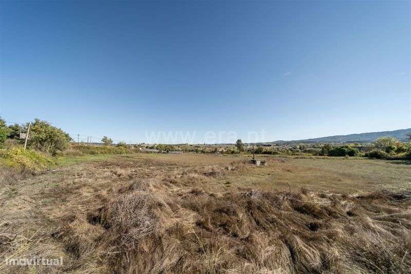 Herdade T6 / Covilhã, Boidobra-10