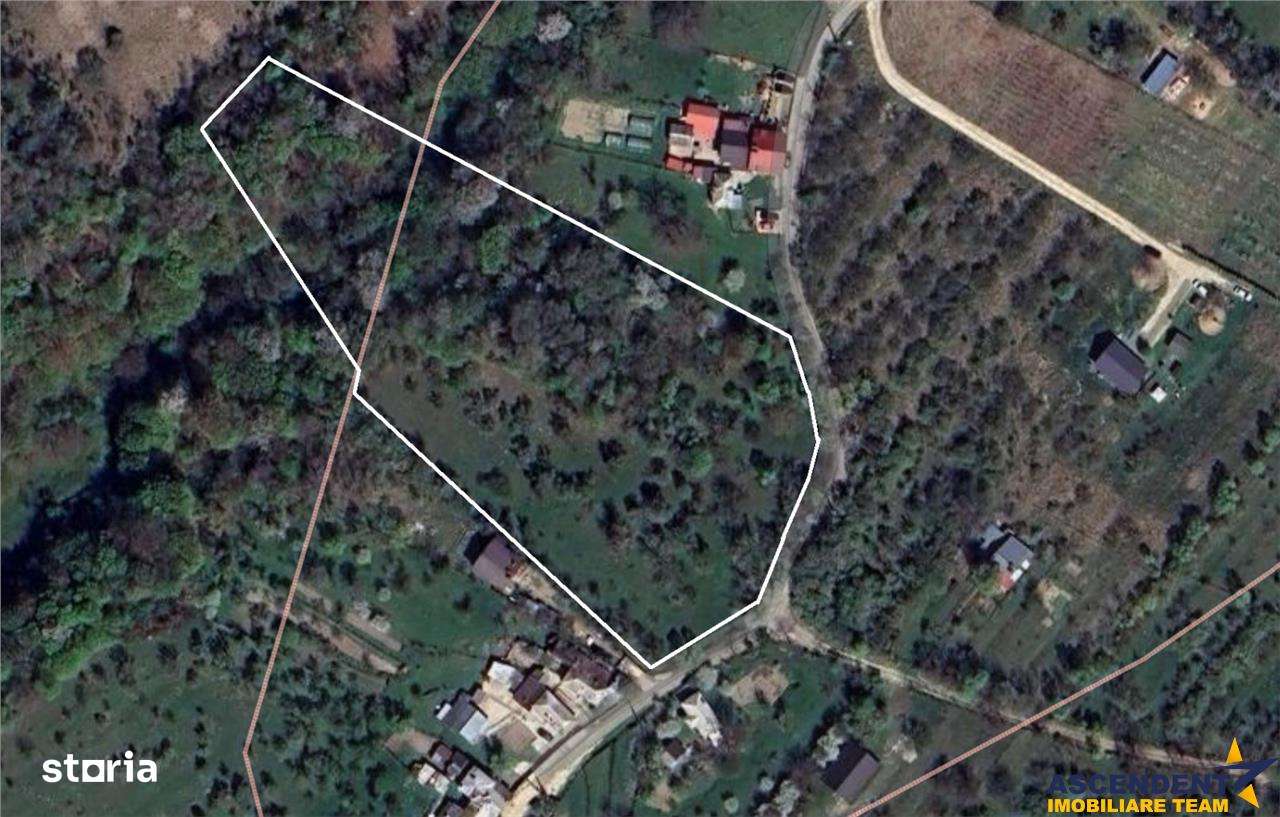 11.600mp teren, partial extravilan,Valea Mare Pravat, 2 km de Campulun - Imagine principală: 3/6