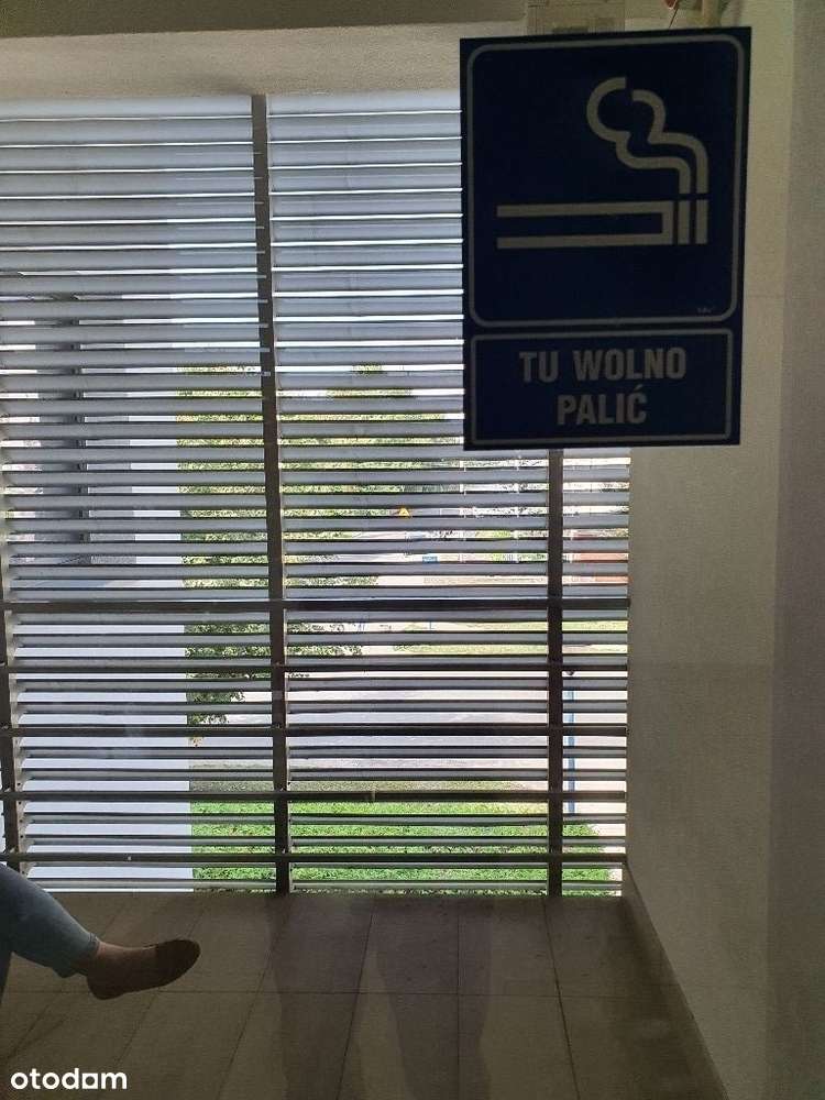 5 pomieszczeń | BIURO wsród ZIELENI | inne metraże - Pełny obrazek: 5/5