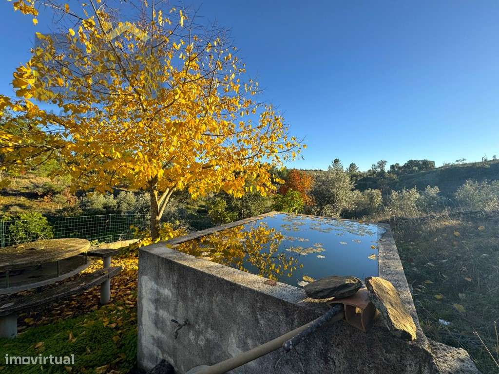 Quinta do Canavial - Aldeia da Mata - Grande imagem: 5/27