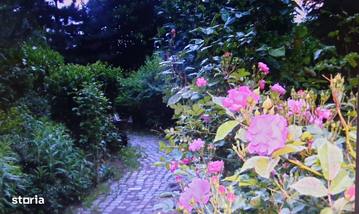 VILA SAFTICA individuala-3