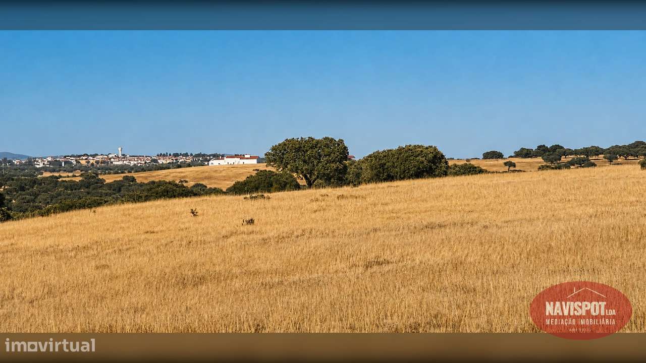 Herdade com 750 hectares no Alentejo-24