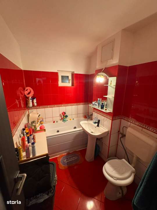 Apartament  2 camere, 49 mp, Lapus, Electroputere Mall-10