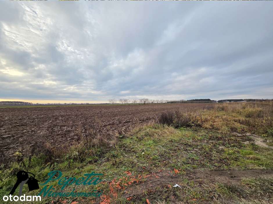 Parterowy dom wolnostojący - Konarskie, gm. Kórnik!-4