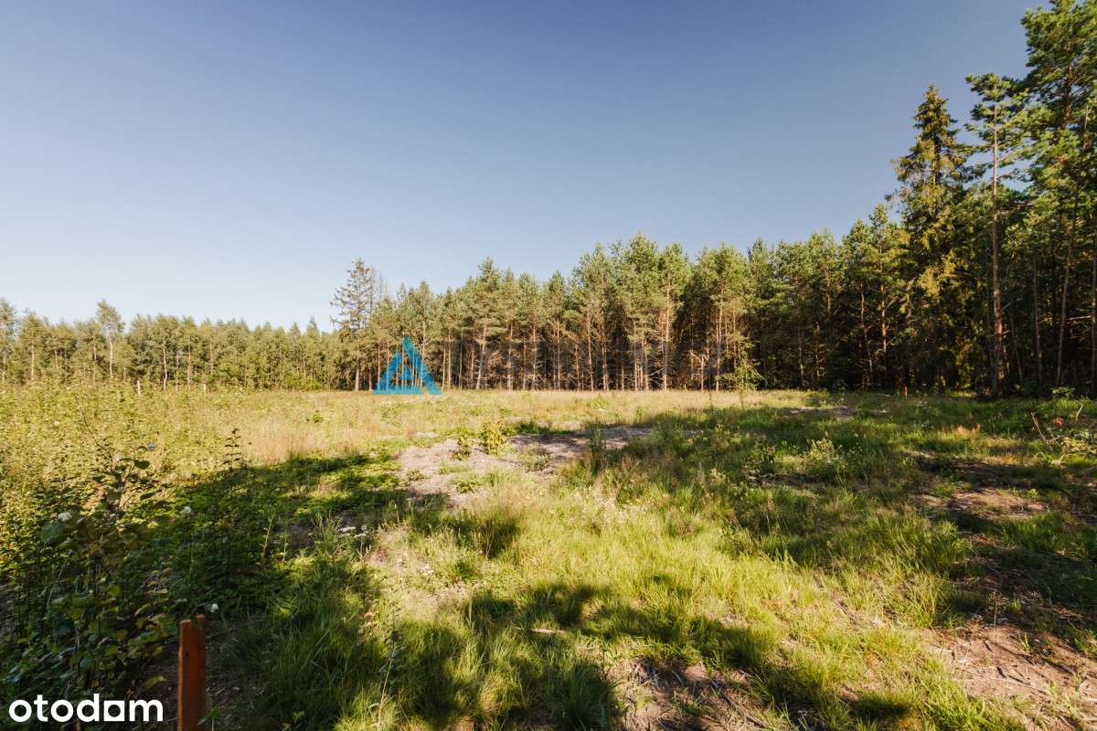 Działka Budowlana Z Warunkami Zabudowy - Pełny obrazek: 5/11