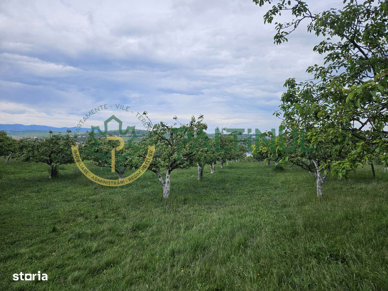 Teren 5.000 mp cu priveliște superbă – Cisnădie, Sibiu - Imagine principală: 3/5