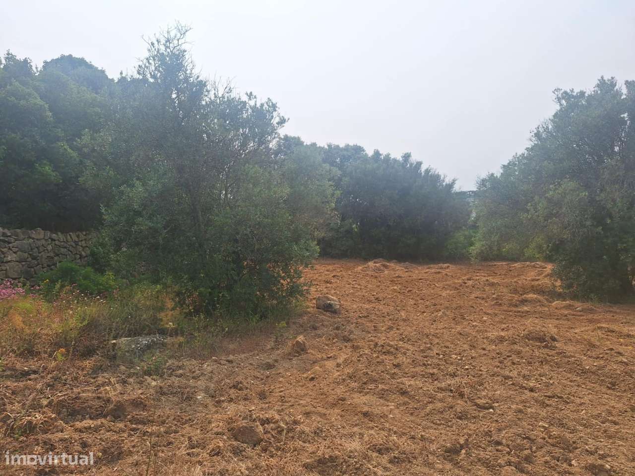 Terreno Rústico em Bordeira-11