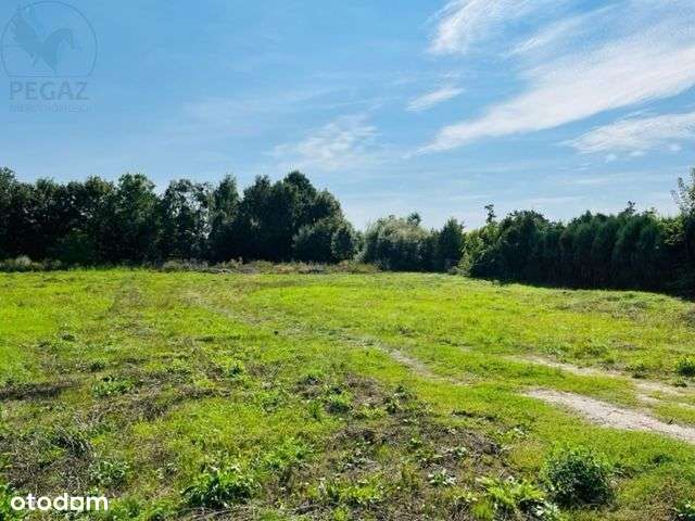 Działka Usługowa w centrum Sierakowa - Pełny obrazek: 4/6