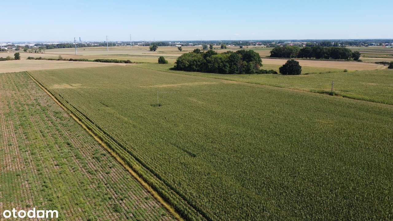 Grunt na sprzedaż pod Wrocławiem 2,13 ha - Pełny obrazek: 5/7