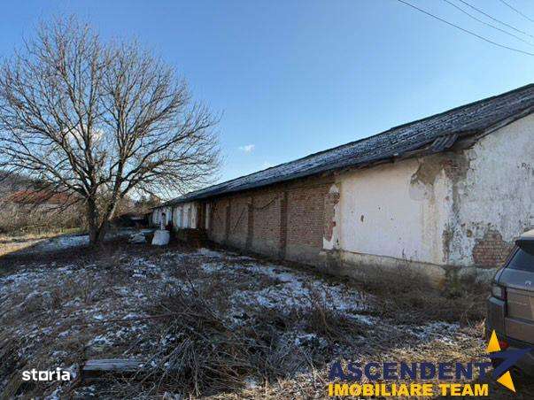 Spatiu comercialIndustrial multifunctional: productie, depozitare, log - Imagine principală: 3/7