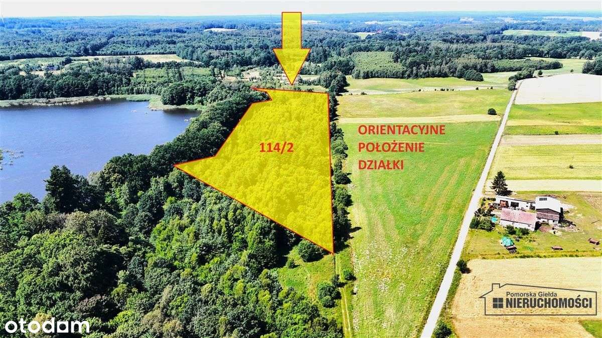 Duża działka siedliskowa nad Jeziorem Kiełpino - Pełny obrazek: 2/20