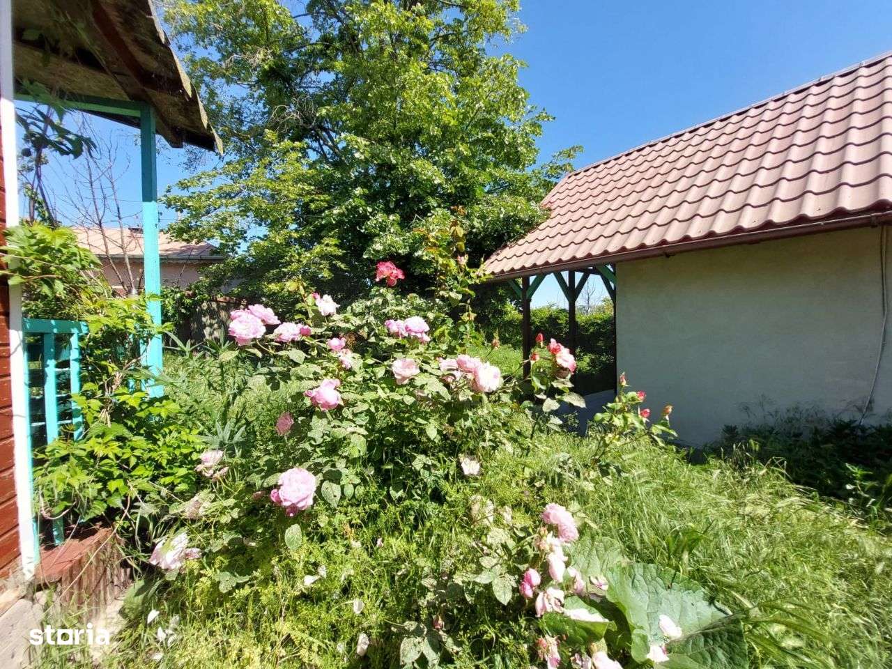 Minicomplex Turistic in Delta Dunarii teren 3.490 mp. ideal comercial - Imagine principală: 4/20