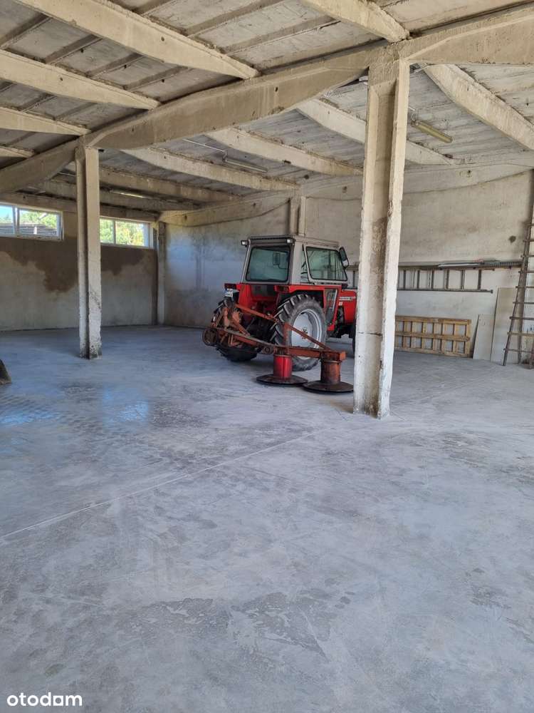 Hala 450 metrów - Pełny obrazek: 5/9