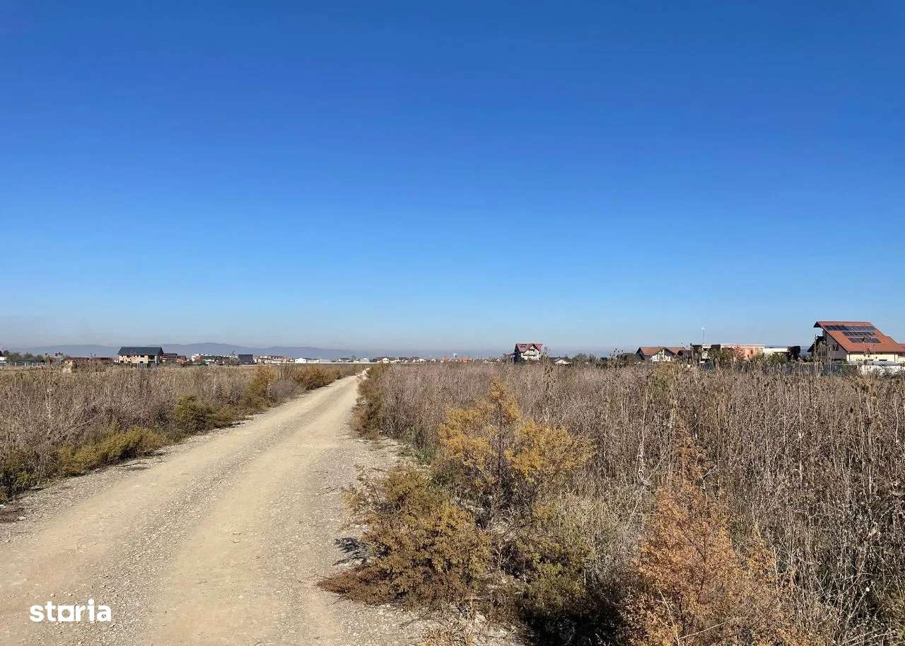 Loturi de casa Strada Narciselor suprafata 352mp - Imagine principală: 2/4