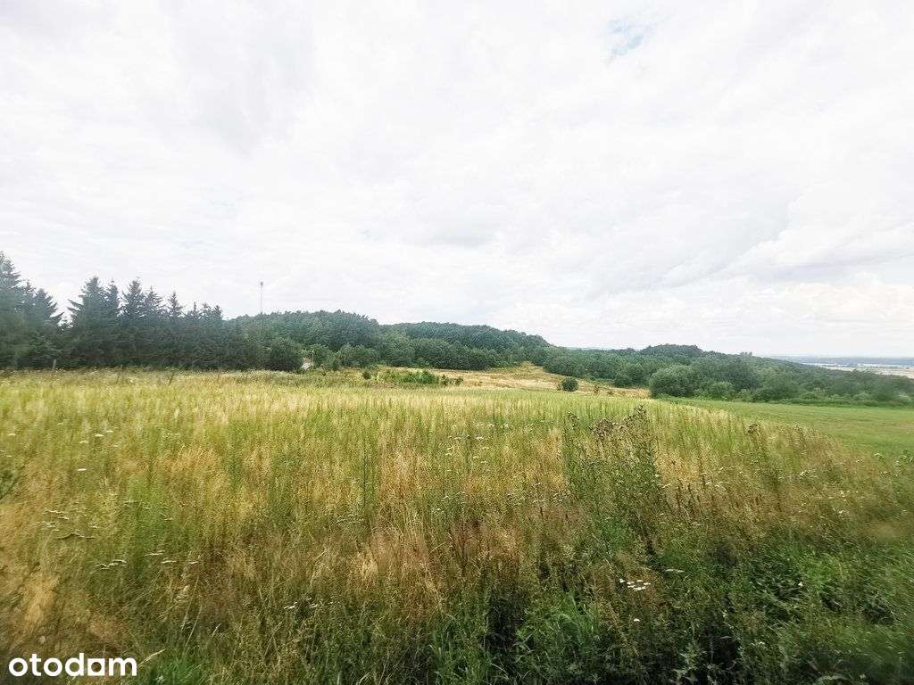 Działka budowlana w pięknym miejscu - Pełny obrazek: 5/6