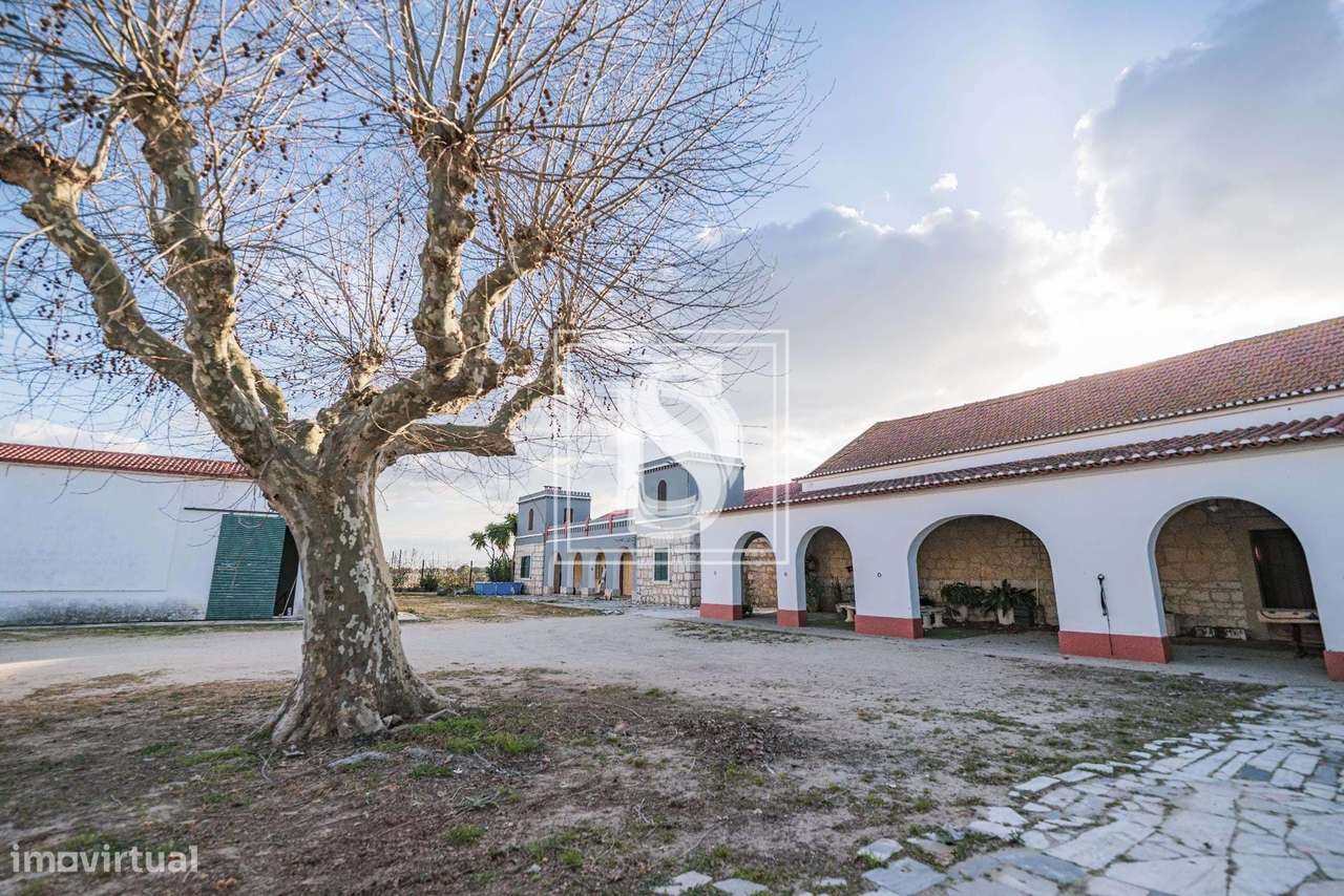 Herdade T3+2 em UDF de Poceirão e Marateca - Grande imagem: 4/29