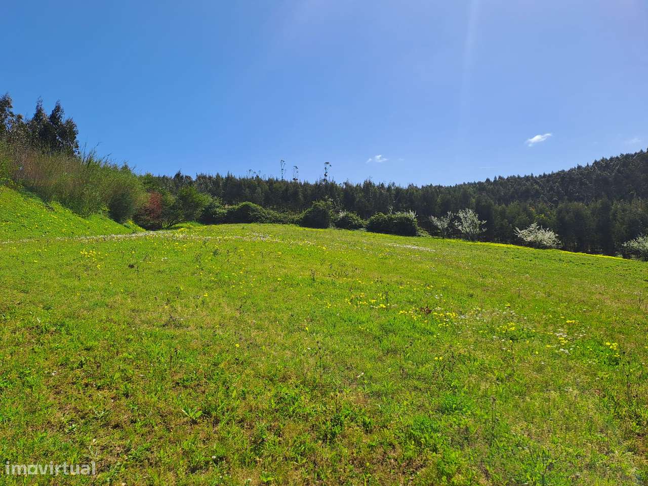 Terreno Agrícola com 8.440 m² no Vimeiro – Lourinhã - Grande imagem: 4/20