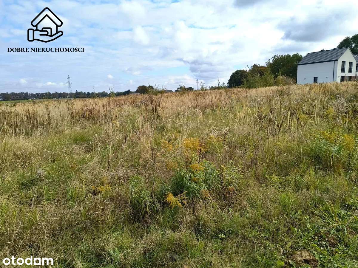 Piękna 18 arowa płaska działka - Pólko. - Pełny obrazek: 4/4