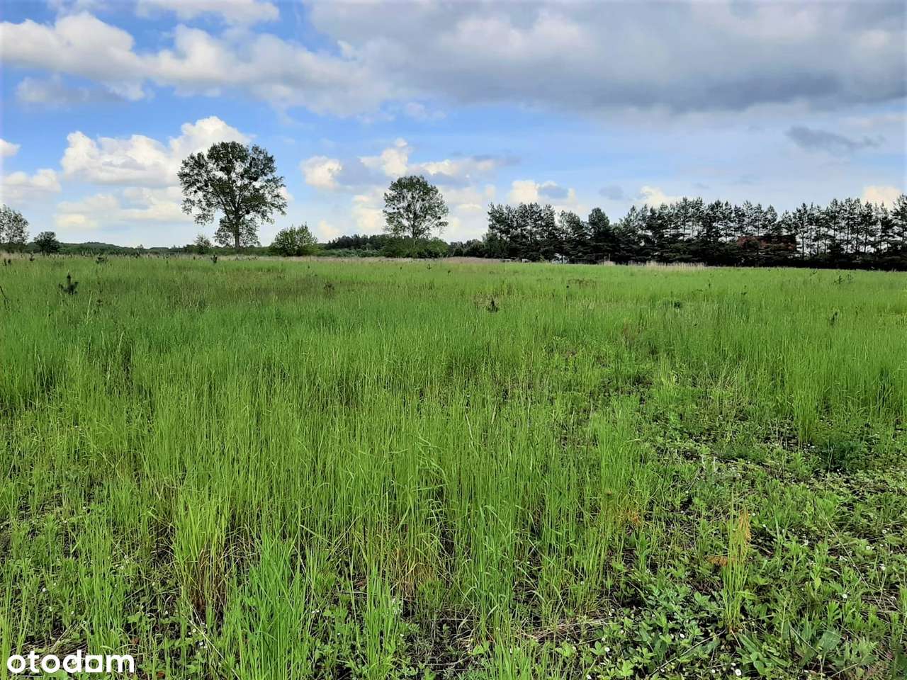 Działki budowlane w Chrzanowie! - Pełny obrazek: 4/6