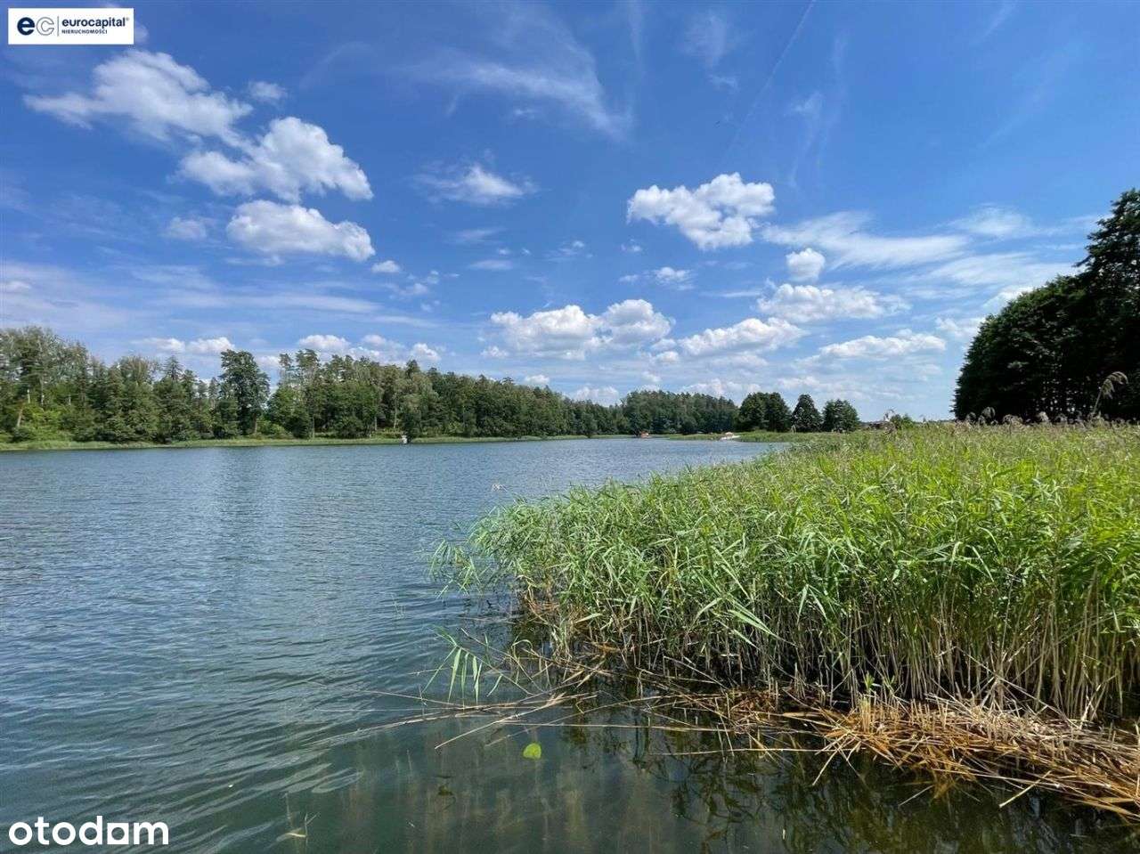 Działka nad jeziorem Kisajno/Mazury ! - Pełny obrazek: 3/20