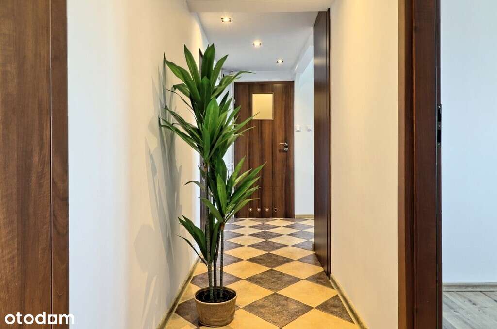 Ciche Mieszkanie 3P na Dolinkach. Niski Czynsz-8