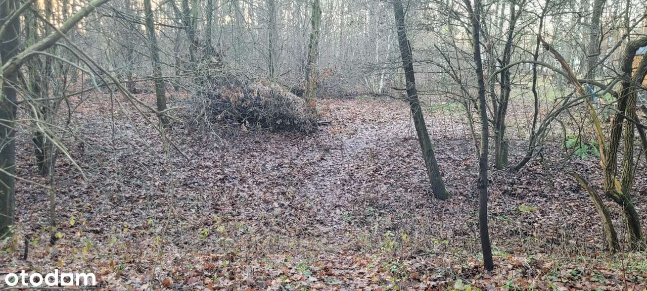 Działka budowlana, ciche i spokojne miejsce Grodzisk Mazowiecki.-6