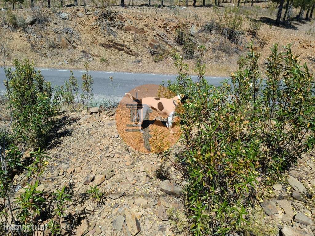 TERRENO COM 34.700 M2 - POSSIBILIDADES DE CONSTRUIR UM ARMAZEM - PR... - Grande imagem: 3/41