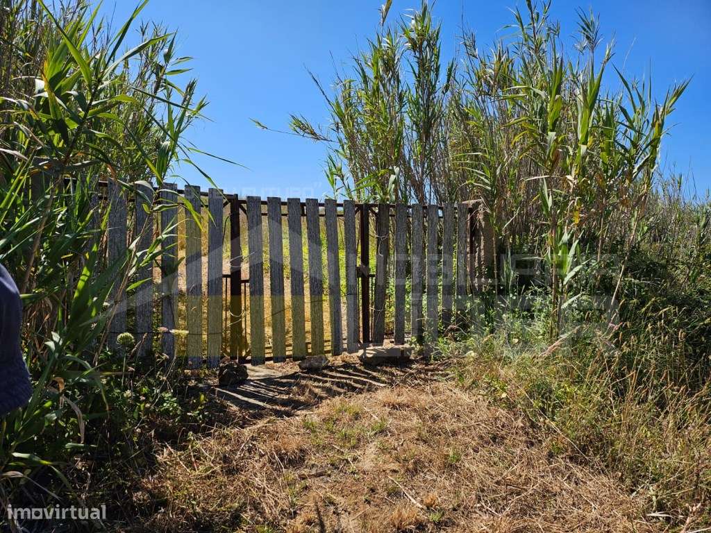 Terreno Rústico com 5187m com vista mar deslumbrante na Ericeira - Grande imagem: 3/46