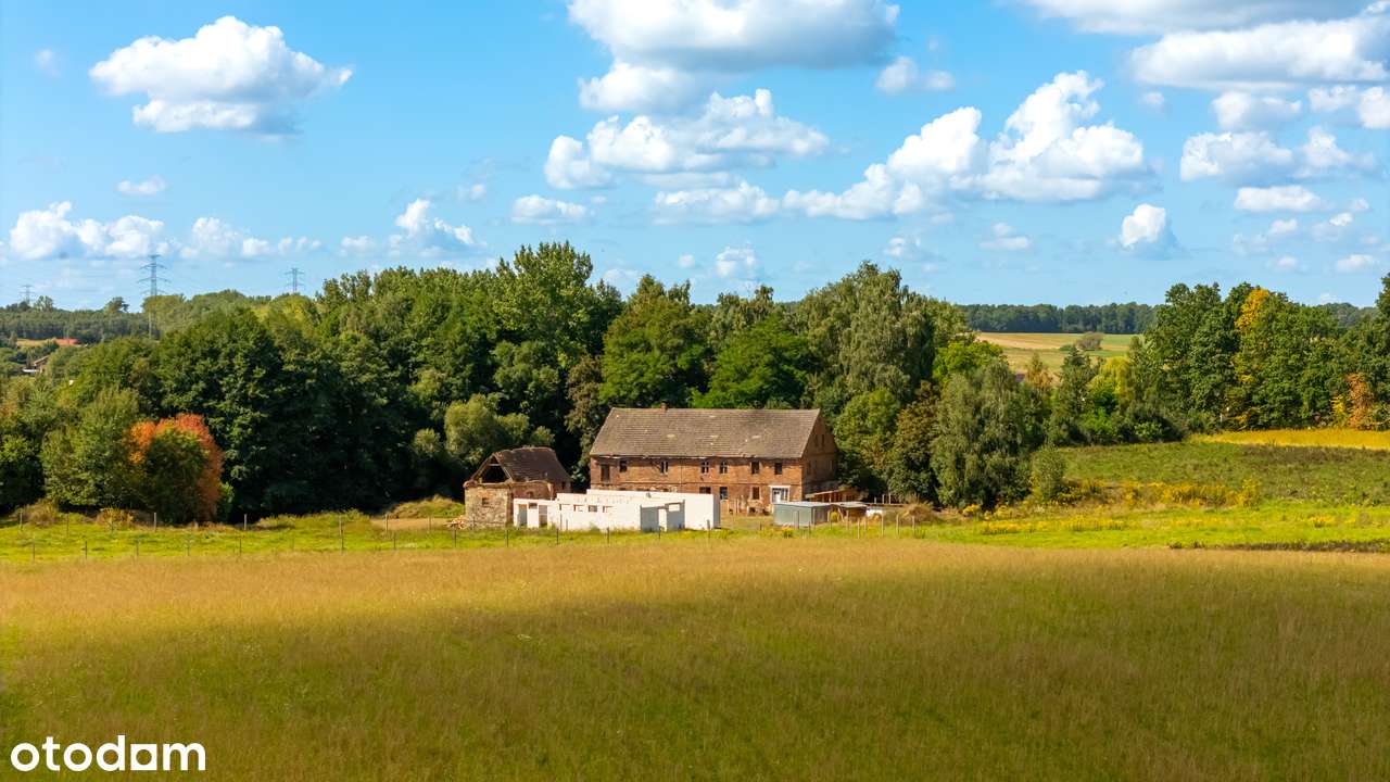 Unikalna nieruchomość z działką ponad 10 ha, oryginalna cegła - Pełny obrazek: 5/20