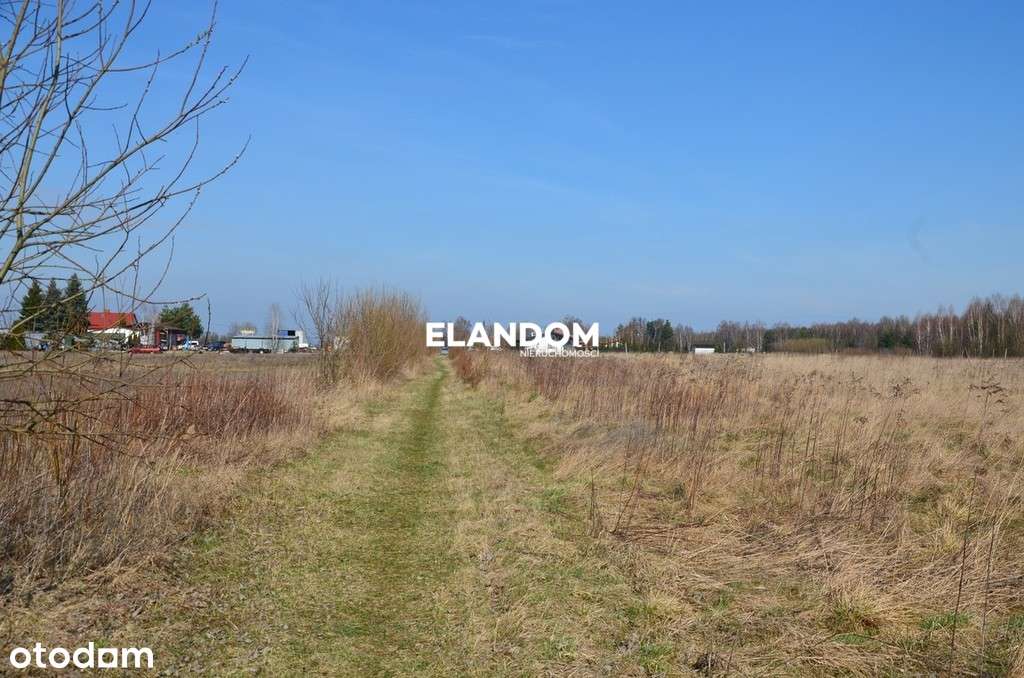 Cicha i spokojna okolica, las - Pełny obrazek: 5/8