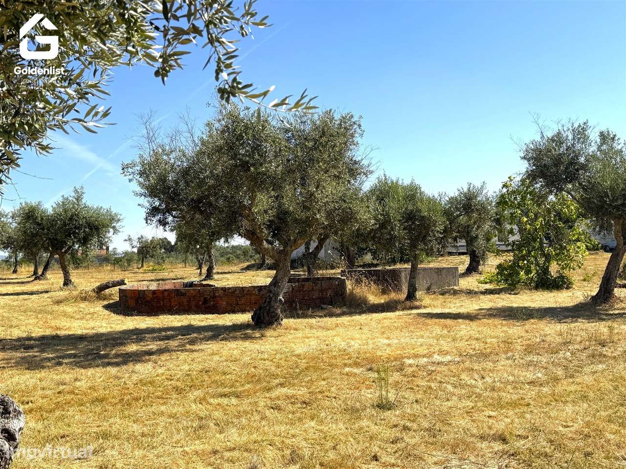 Quinta  Venda em Lardosa,Castelo Branco-28