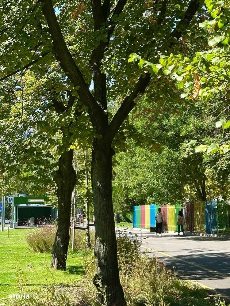 Drumul Taberei,Romancierilor langa  Metrou,Proaspat Renovat-10