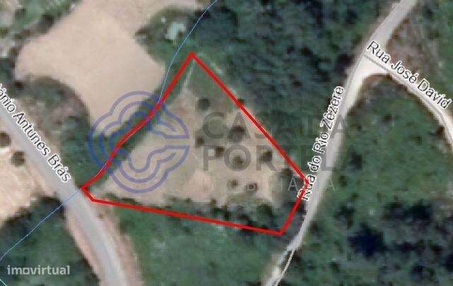 Terreno agrícola com uma ribeira a 10 minutos de Dornes-15