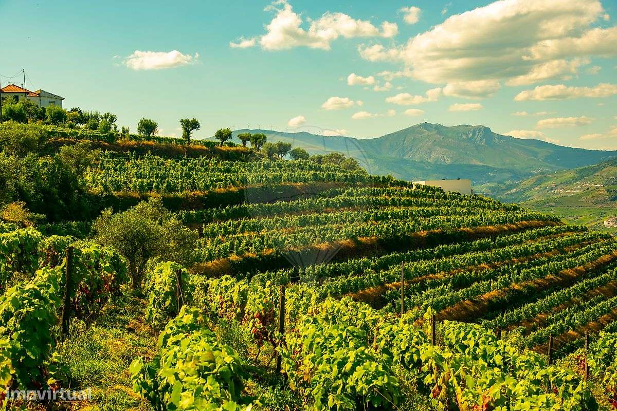 Quinta  para venda - Grande imagem: 4/28