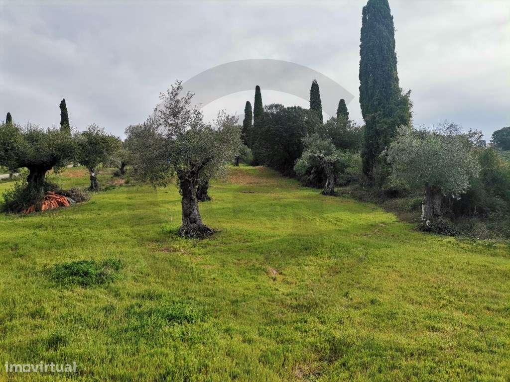 Terreno para construção - Grande imagem: 2/4