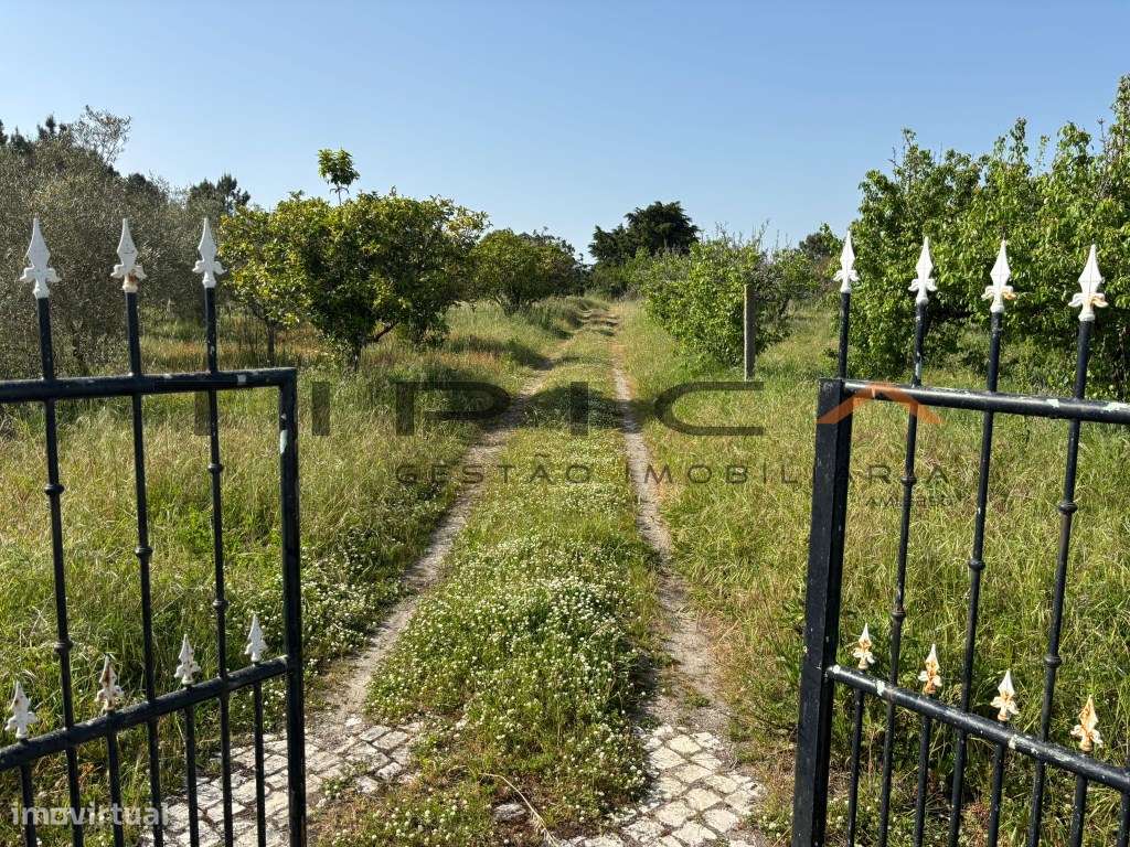 Quintinha com terreno agrícola de 2250 m2-14