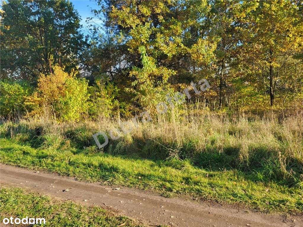 Nowa oferta - atrakcyjna działka w Mrozach - Pełny obrazek: 5/7