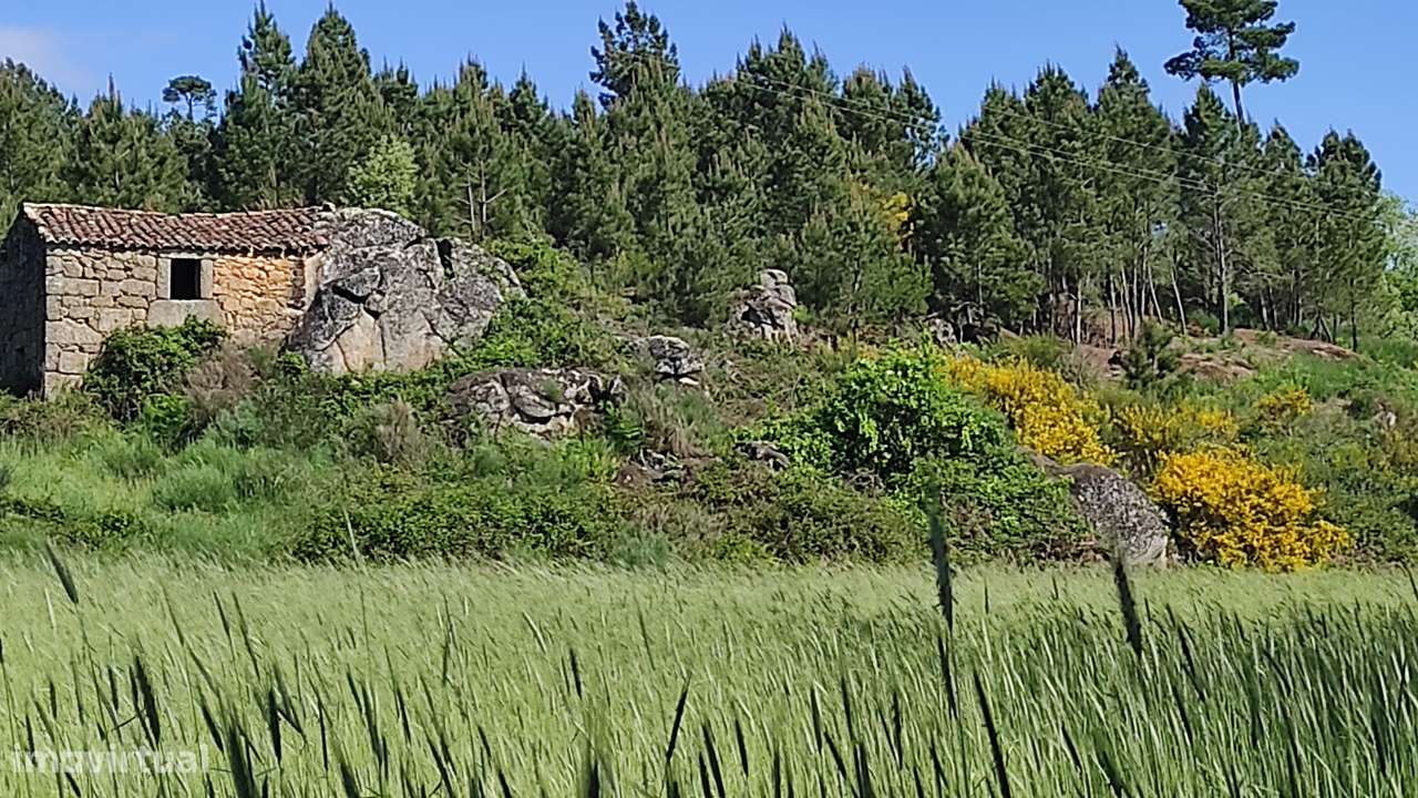 Quinta com Vista para a Serra da Estrela – Um Refúgio Natural-5