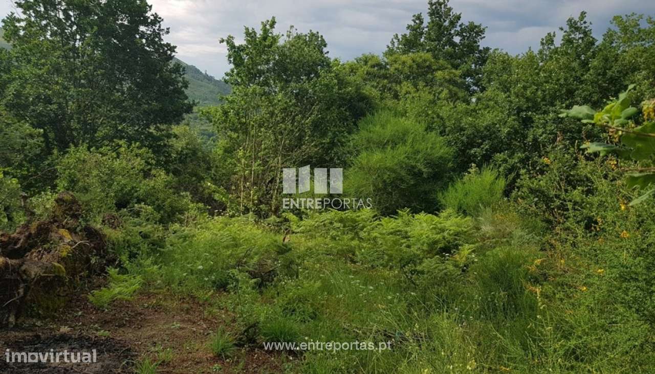 Venda Terreno, vista desafogada, Ovil, Baião - Grande imagem: 3/28