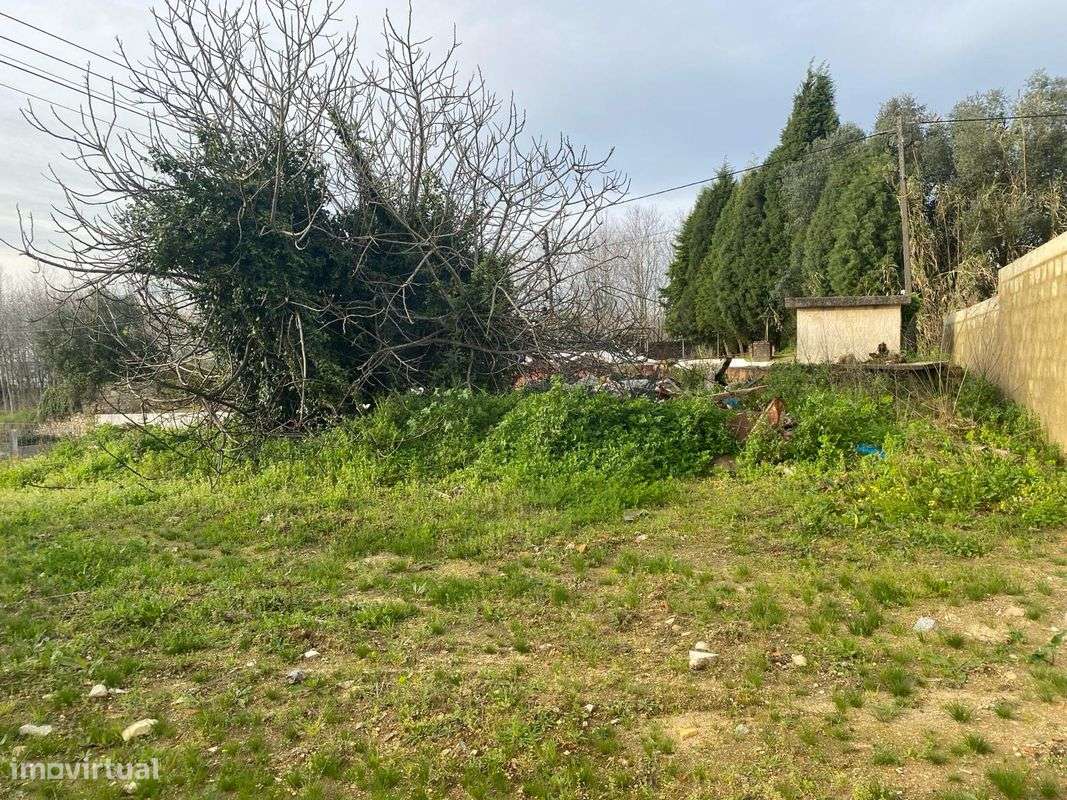 Terreno  para venda - Grande imagem: 5/6