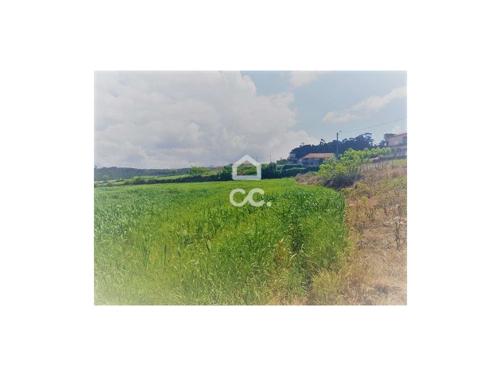 Terreno em Balazar - Grande imagem: 3/11