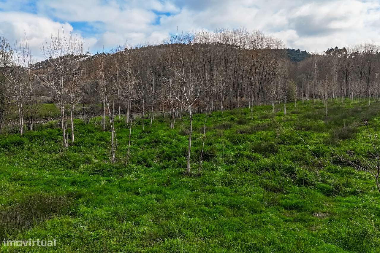 Terreno Rústico  Venda em Associação de freguesias do Vale do Neiva,Po-13