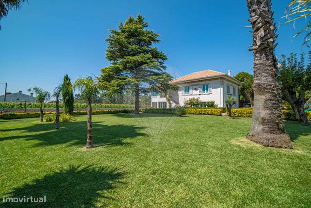 Quinta T4 para venda - Grande imagem: 5/27