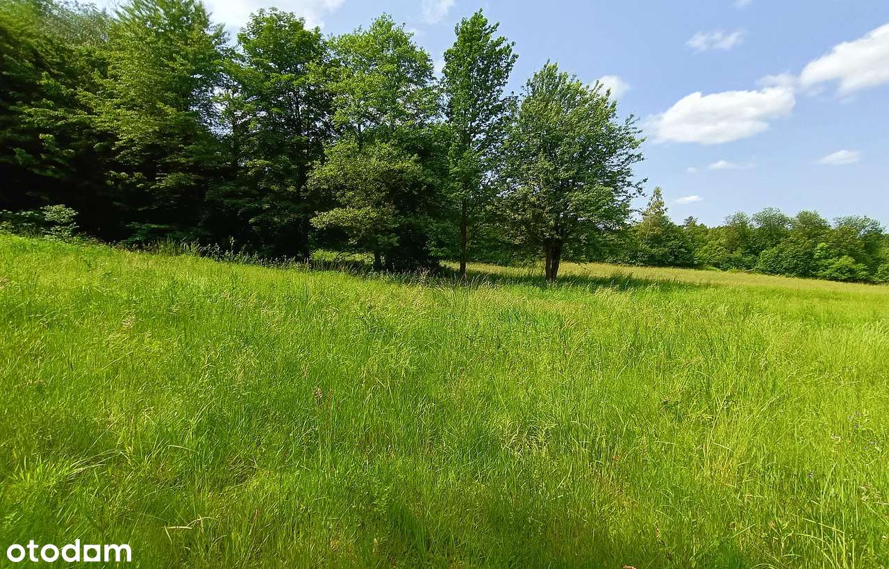 Działki na Roztoczu - Bondyrz-9