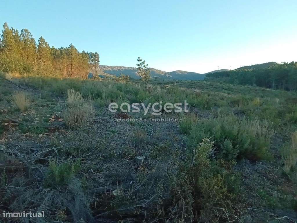 Terreno Rústico na Serra da Gardunha - Grande imagem: 5/13