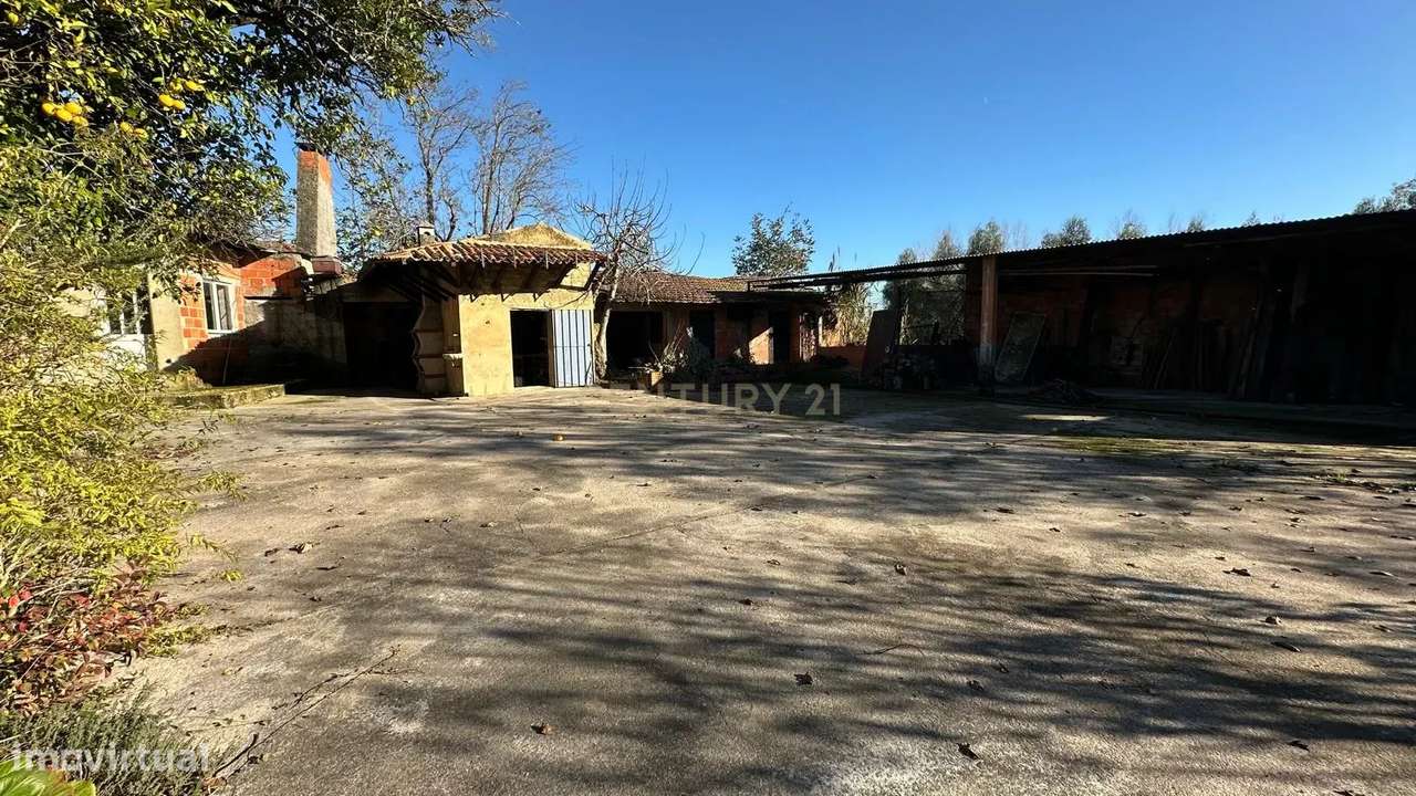 Casa para Recuperar em Oiã, Oliveira do Bairro-15