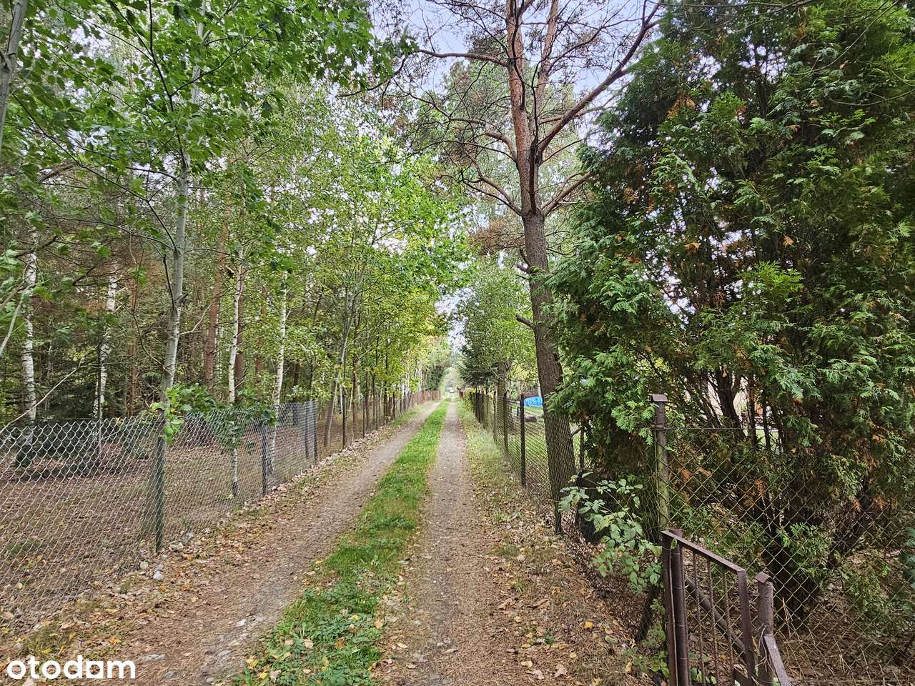 Kilka ładnych działek obok siebie (2 lokalizacje). Blisko Glinianki-9